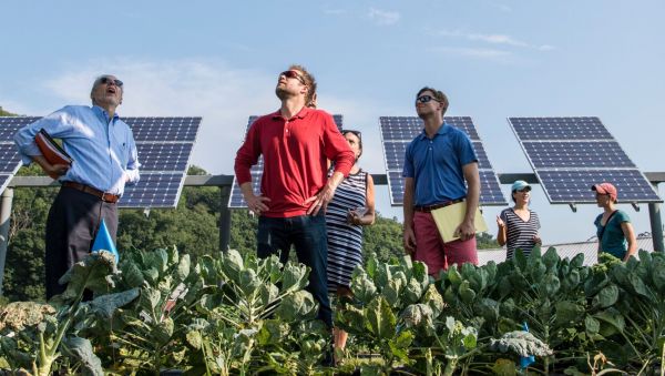 Renaldo Ländliche Entwicklung durch Erneuerbare Energien